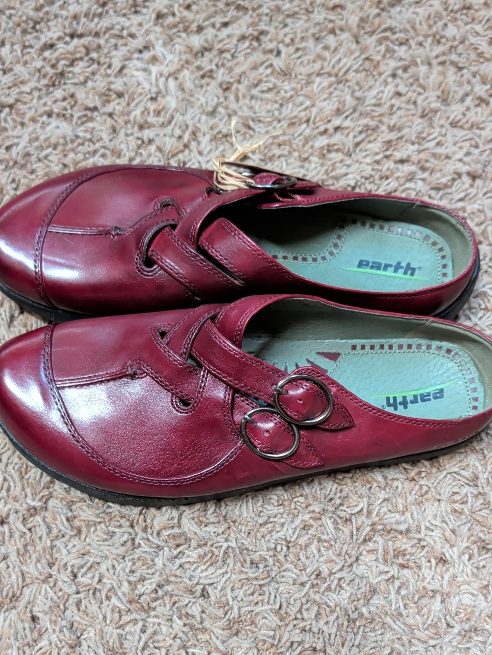 Earth Burgundy Leather Slip-On Loafers with Double Ring Accent